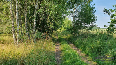 Duża działka siedliskowa nad Jeziorem Kiełpino - Kiełpino  -
Zachodniopomorskie Zdjęcie nr 12