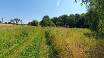 Duża działka siedliskowa nad Jeziorem Kiełpino - Kiełpino  -
Zachodniopomorskie Zdjęcie nr 14