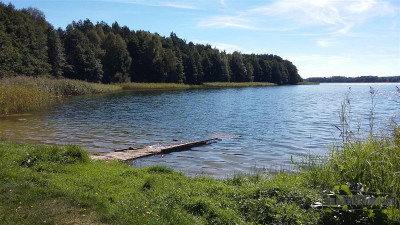 Działka w pobliżu lasu i jeziora - Nobliny   -
Zachodniopomorskie Zdjęcie nr 8