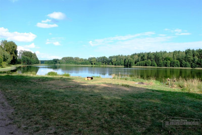 70 m od jeziora - działka pod zabudowę mieszkalną  - Machliny   -
Zachodniopomorskie Zdjęcie nr 6