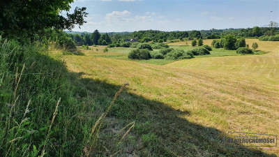 Już za 39500 zł na raty - działka w krainie jezio - Borne   -
Zachodniopomorskie Zdjęcie nr 13