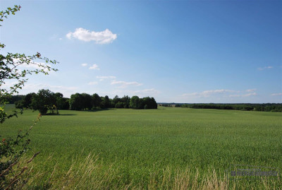 Grynty rolne w gminie Grzmiąca Mieszałki - Mieszałki   -
Zachodniopomorskie Zdjęcie nr 10