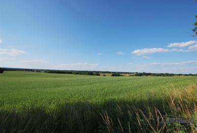 Grynty rolne w gminie Grzmiąca Mieszałki - Mieszałki   -
Zachodniopomorskie Zdjęcie nr 11