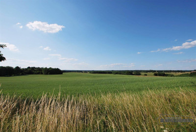 Grynty rolne w gminie Grzmiąca Mieszałki - Mieszałki   -
Zachodniopomorskie Zdjęcie nr 12