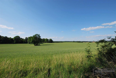 Grynty rolne w gminie Grzmiąca Mieszałki - Mieszałki   -
Zachodniopomorskie Zdjęcie nr 13