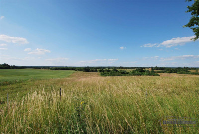 Grynty rolne w gminie Grzmiąca Mieszałki - Mieszałki   -
Zachodniopomorskie Zdjęcie nr 14