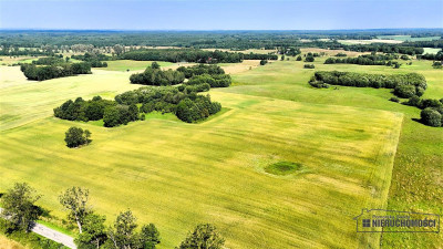 Grynty rolne w gminie Grzmiąca Mieszałki - Mieszałki   -
Zachodniopomorskie Zdjęcie nr 4