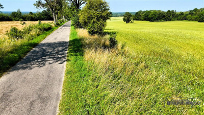 Grynty rolne w gminie Grzmiąca Mieszałki - Mieszałki   -
Zachodniopomorskie Zdjęcie nr 7