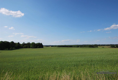 Grynty rolne w gminie Grzmiąca Mieszałki - Mieszałki   -
Zachodniopomorskie Zdjęcie nr 9