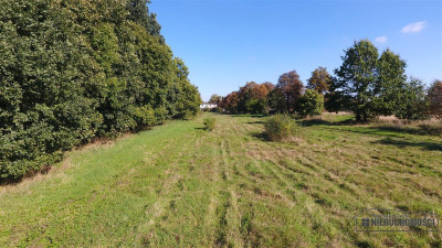 NA RATY działki budowlane POD LASEM blisko Chociwl - Starzyce   -
Zachodniopomorskie Zdjęcie nr 10