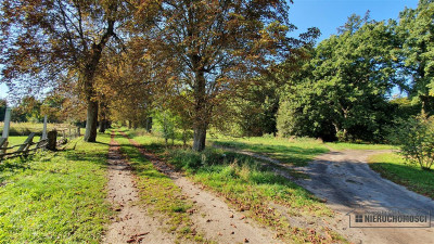 NA RATY działki budowlane POD LASEM blisko Chociwl - Starzyce   -
Zachodniopomorskie Zdjęcie nr 13