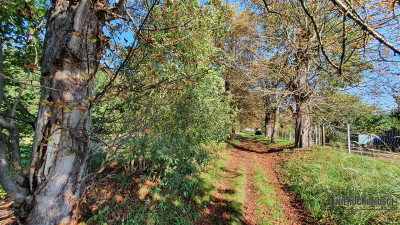 NA RATY działki budowlane POD LASEM blisko Chociwl - Starzyce   -
Zachodniopomorskie Zdjęcie nr 14