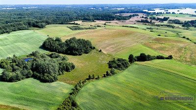 Grynty rolne w gminie Grzmiąca Mieszałki - Mieszałki   -
Zachodniopomorskie Zdjęcie nr 11