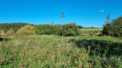 Działka budowlana blisko Białogardu - na raty - Pomianowo   -
Zachodniopomorskie Zdjęcie nr 12