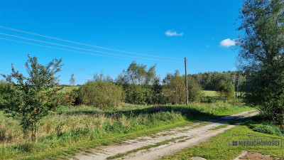 Działka budowlana blisko Białogardu - na raty - Pomianowo   -
Zachodniopomorskie Zdjęcie nr 14