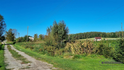 Działka budowlana blisko Białogardu - na raty - Pomianowo   -
Zachodniopomorskie Zdjęcie nr 8