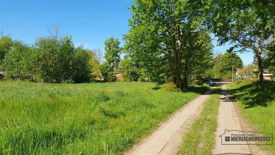 Działka ok 6 km od Morza Bałtyckiego - sprzedaż n - Boryszewo   -
Zachodniopomorskie Zdjęcie nr 6