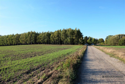 Działka budowlana pod Szczecinkiem - Szczecinek - Janowo   -
Zachodniopomorskie Zdjęcie nr 4