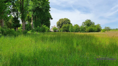 Działki inwestycyjne blisko Bałtyku i Kołobrzegu n - Nieżyn   -
Zachodniopomorskie Zdjęcie nr 10