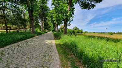 Działki inwestycyjne blisko Bałtyku i Kołobrzegu n - Nieżyn   -
Zachodniopomorskie Zdjęcie nr 7