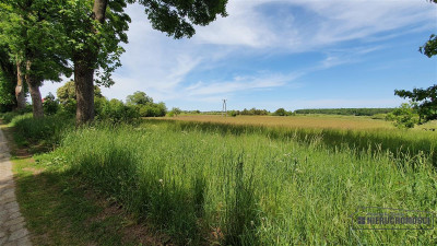 Działki inwestycyjne blisko Bałtyku i Kołobrzegu n - Nieżyn   -
Zachodniopomorskie Zdjęcie nr 8