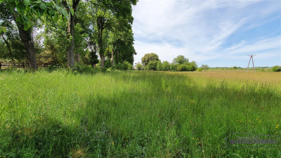 Działki inwestycyjne blisko Bałtyku i Kołobrzegu n - Nieżyn   -
Zachodniopomorskie Zdjęcie nr 9