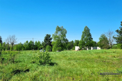 Działka budowlana w Tarninie przy Szczecinku - Parsęcko   -
Zachodniopomorskie Zdjęcie nr 9