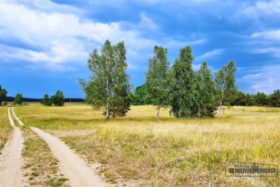 Działka położona blisko jeziora Dołgie - Dołgie   -
Zachodniopomorskie Zdjęcie nr 5