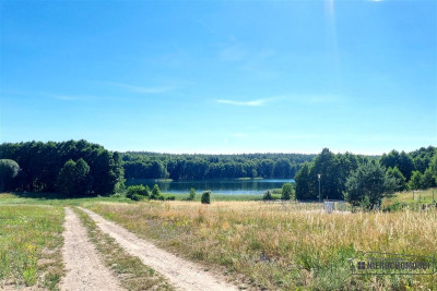 Działka położona blisko jeziora Dołgie - Dołgie   -
Zachodniopomorskie Zdjęcie nr 7