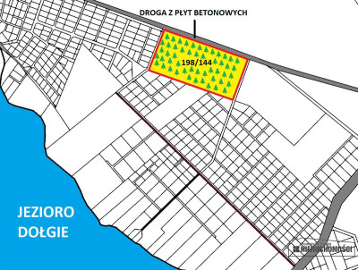 Las położony w pobliżu jeziora Dołgie - Dołgie   -
Zachodniopomorskie Zdjęcie nr 12