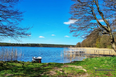 Las położony w pobliżu jeziora Dołgie - Dołgie   -
Zachodniopomorskie Zdjęcie nr 14