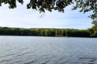 Dostęp do jeziora Dołgie ok190 m linii brzegowej - Dołgie  -
Zachodniopomorskie Zdjęcie nr 14