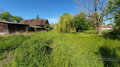 Działka ok 6 km od Morza Bałtyckiego - sprzedaż n - Boryszewo   -
Zachodniopomorskie Zdjęcie nr 13