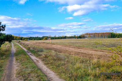 Działki rekreacyjne w pobliżu jeziora Dołgie - Dołgie   -
Zachodniopomorskie Zdjęcie nr 11