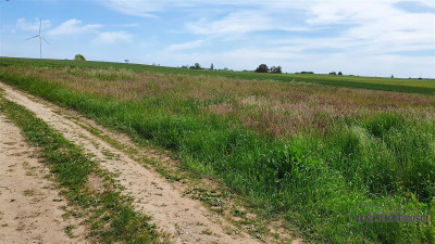 Działki budowlane ok 20 km Bałtyku i Kołobrzegu - - Siemyśl   -
Zachodniopomorskie Zdjęcie nr 11