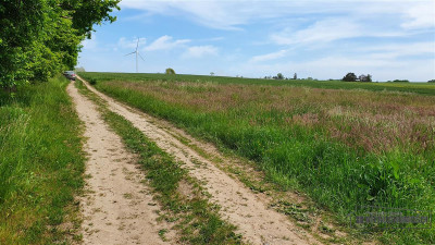 Działki budowlane ok 20 km Bałtyku i Kołobrzegu - - Siemyśl   -
Zachodniopomorskie Zdjęcie nr 12