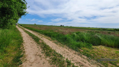 Działki budowlane ok 20 km Bałtyku i Kołobrzegu - - Siemyśl   -
Zachodniopomorskie Zdjęcie nr 14