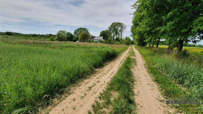 Działki budowlane ok 20 km Bałtyku i Kołobrzegu - - Siemyśl   -
Zachodniopomorskie Zdjęcie nr 3