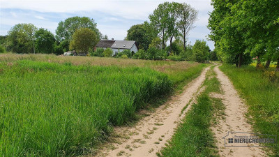 Działki budowlane ok 20 km Bałtyku i Kołobrzegu - - Siemyśl   -
Zachodniopomorskie Zdjęcie nr 4