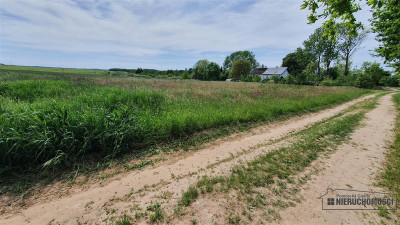 Działki budowlane ok 20 km Bałtyku i Kołobrzegu - - Siemyśl   -
Zachodniopomorskie Zdjęcie nr 5