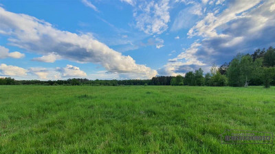 Działka rolna pod lasem - Pobądz   -
Zachodniopomorskie Zdjęcie nr 4