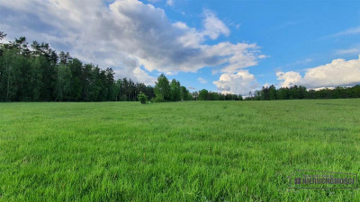 Działka rolna pod lasem - Pobądz   -
Zachodniopomorskie Zdjęcie nr 8