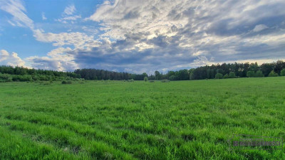 Działka rolna pod lasem - Pobądz   -
Zachodniopomorskie Zdjęcie nr 12