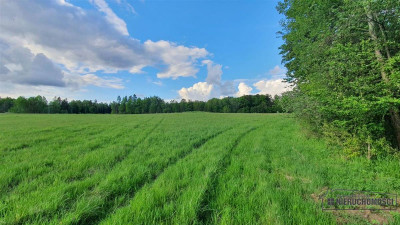 Działka rolna pod lasem - Pobądz   -
Zachodniopomorskie Zdjęcie nr 9