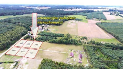 Działka budowlana około 70 km od Bydgoszczy - Czyżkowo   -
Zachodniopomorskie Zdjęcie nr 7