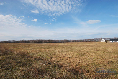 Działka budowlana w Wierzchowie blisko jeziora - Wierzchowo  -
Zachodniopomorskie Zdjęcie nr 5