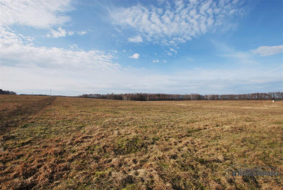 Działka budowlana w Wierzchowie blisko jeziora - Wierzchowo  -
Zachodniopomorskie Zdjęcie nr 6