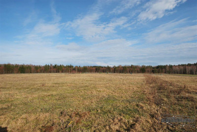 Działka budowlana w Wierzchowie blisko jeziora - Wierzchowo  -
Zachodniopomorskie Zdjęcie nr 8