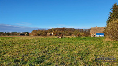 działka blisko Ustki i Słupska - Wilkowice   -
Zachodniopomorskie Zdjęcie nr 13