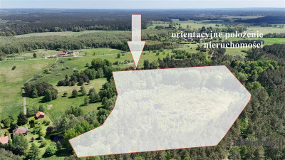 Działka rolna 5 ha pod lasem blisko jeziora - Gronowo   -
Zachodniopomorskie Zdjęcie nr 2